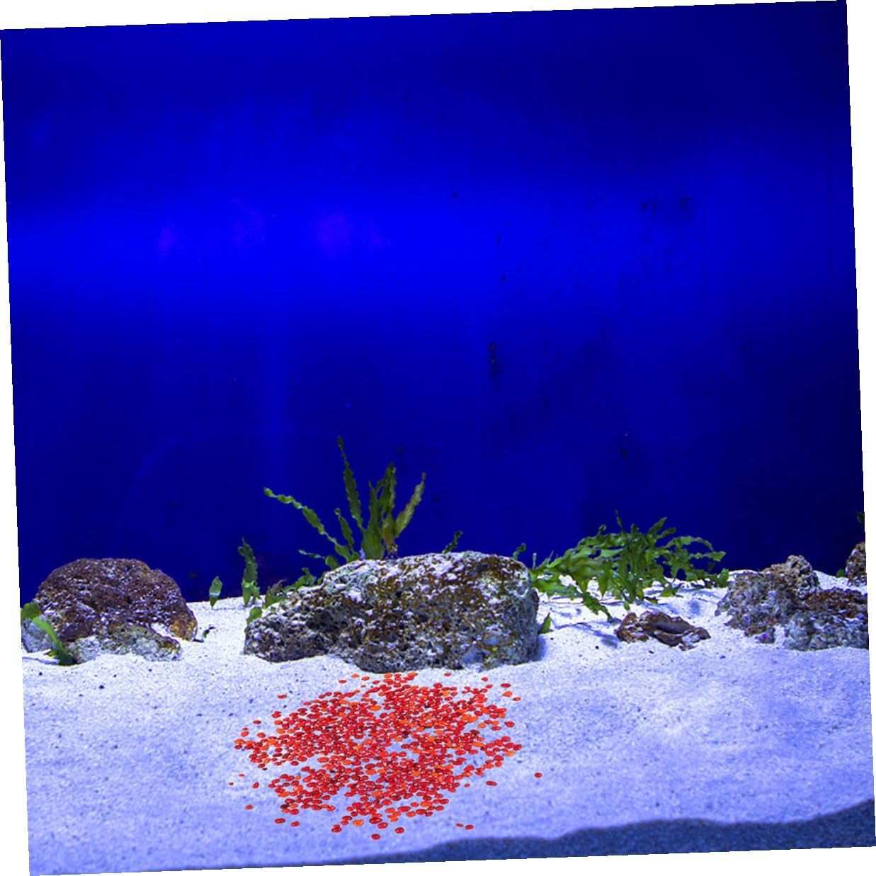 Ciieeo 2 Sets Natural Colored Fish Tank Gravel and Aquarium Substrate, Bulk Terrarium Gravel Pebbles for Indoor Plants, Aquarium Decoration Stones with Chinese Red and Amber Colors, 500g