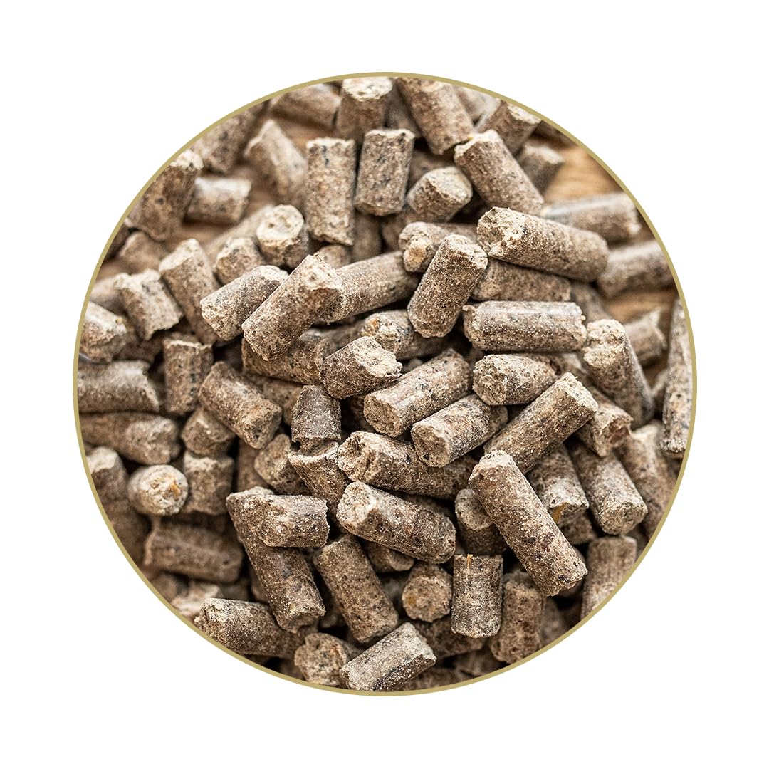 St. Hippolyt Sorbinum Calcium Pferdefutter mit Meeresmineralien und Korallenkalk, pelletiert für erhöhten Calciumbedarf, inkl. Belohnungswürfel – stärkt Knochen und Vitalität