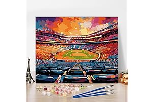 Sports Field Paint by Numbers for Adults