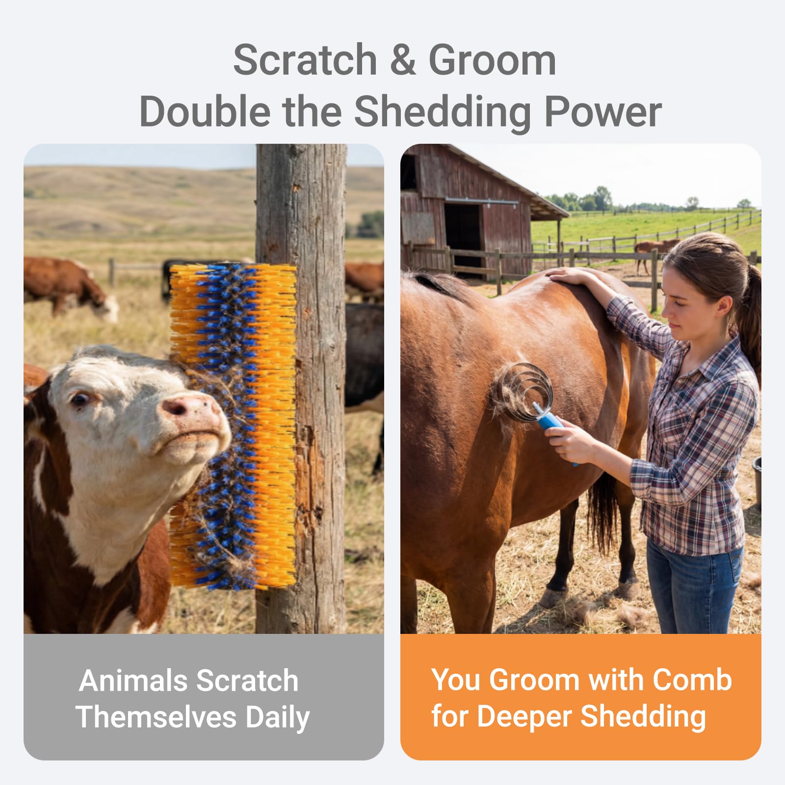 TERPUP 2PCS Livestock Scratching Brush, Horse Grooming Brush Kit With Stainless Steel Curry Comb, Durable Massage Scratch Brushes for Goats Cow Donkey Horse Sheep - 3
