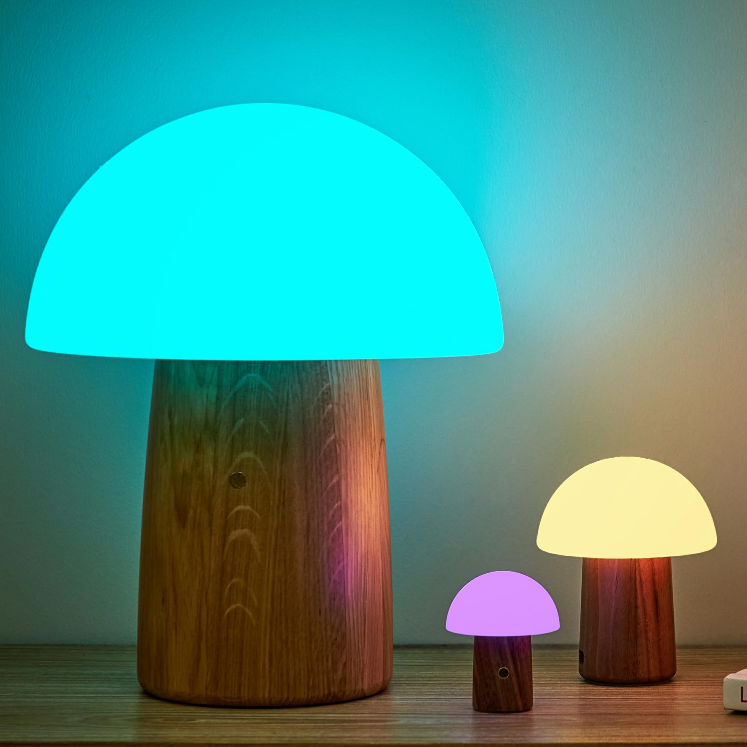アイドル MIKROKOSMOS MOOD LAMP BTS JUNGKOOK Mikrokosmos Mood Lamp ARTIST MADE COLLECTION BY