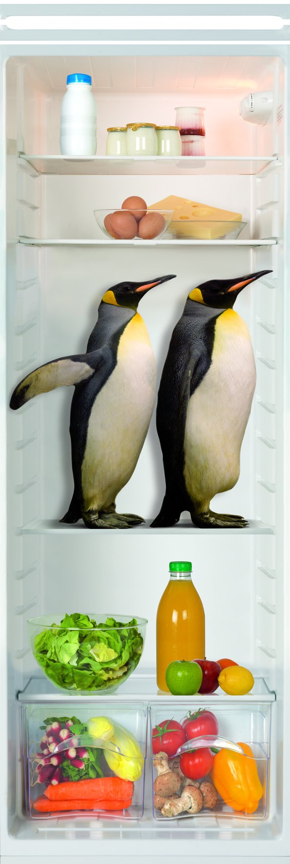 Sticker cuisine autocollant Plage Freeze 180 cm crédence murale