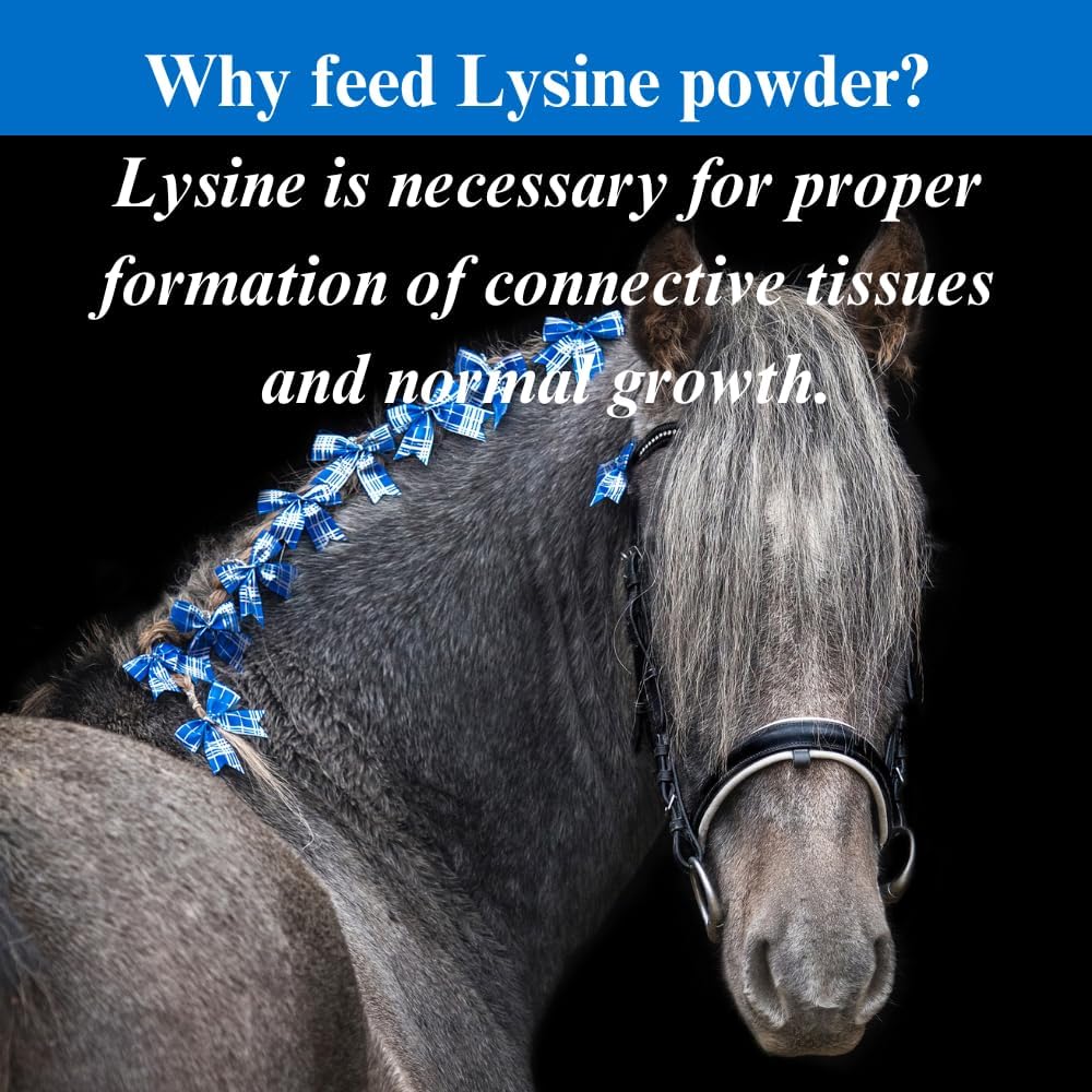 SU-PER Lysine Supplement for Horses - Supports Healthy Bones & Muscle Tissues - Equine Essential Amino Acid - 12.5 Pound, 47 Month Supply
