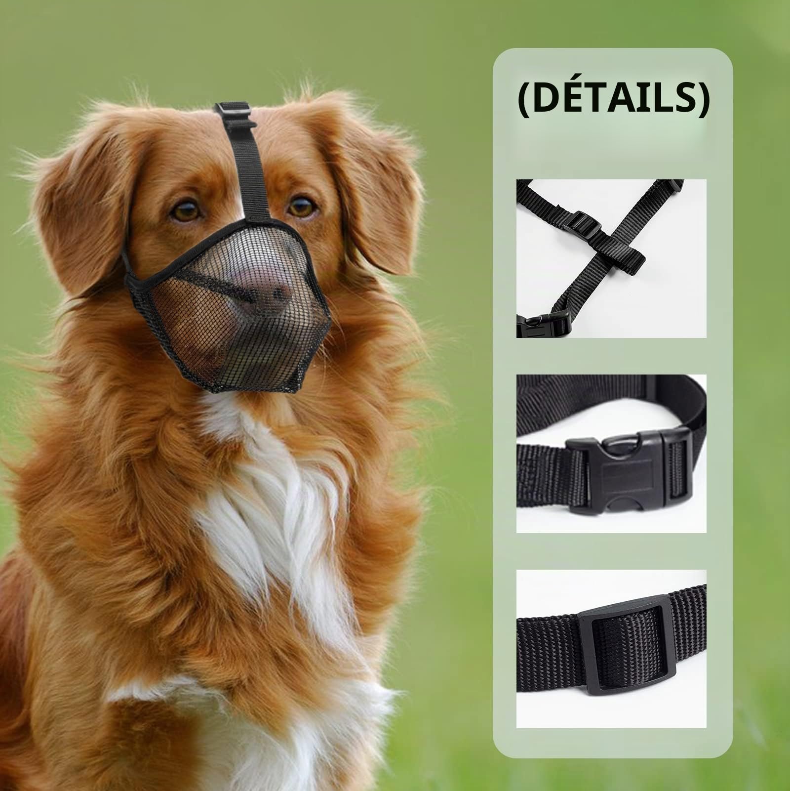 Muselière pour Chien avec Mailles arrondies, Muselière Respirante pour Petits, Moyens et Grands Chiens, empêche de Manger, Mordre et mâcher(L, Noir)