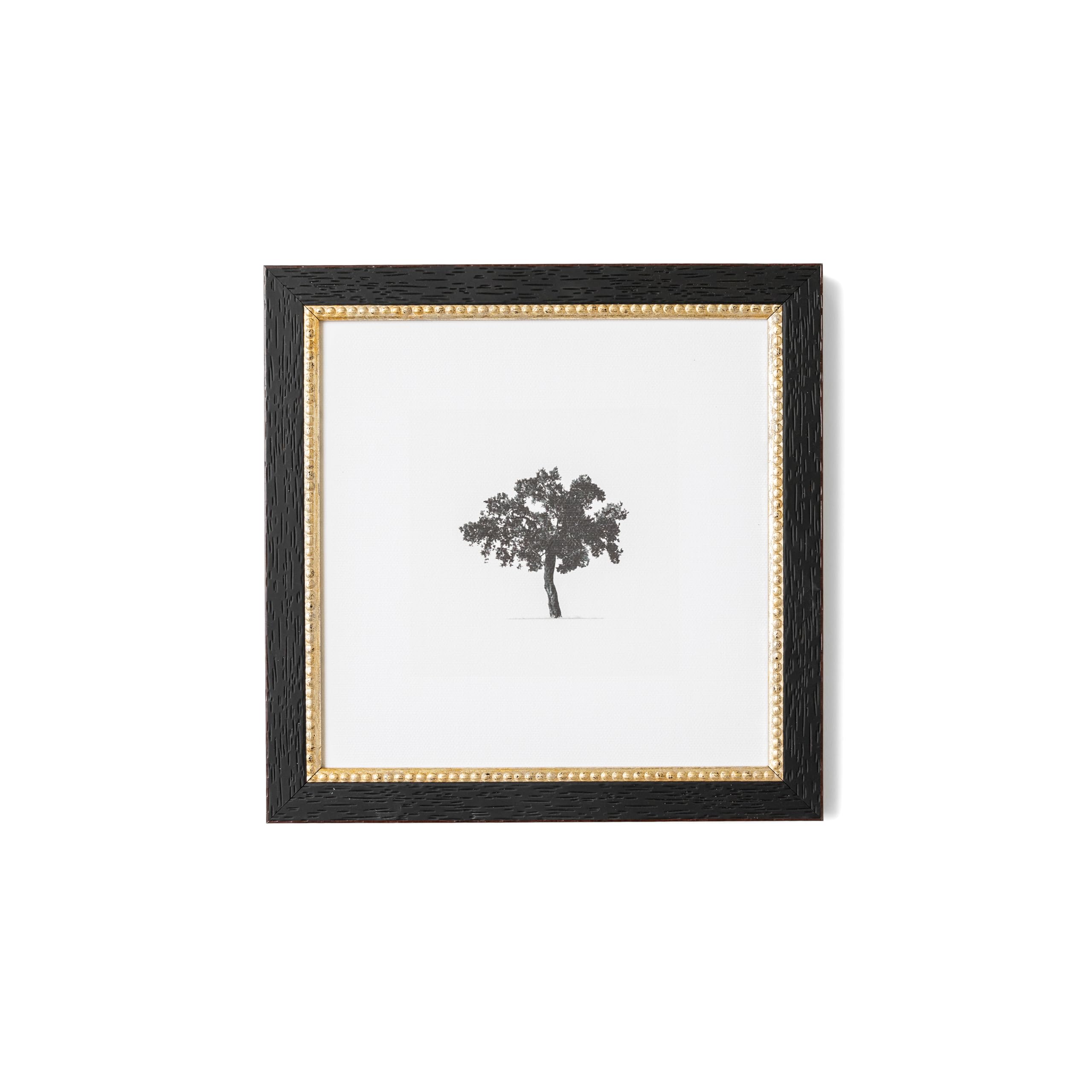 Petal Lane Tree Wall Art - Framed Antique Decor - Make Your Own Gallery Wall Frame Set - Dark Academia Wall Decor - Vintage Frame (Tree)