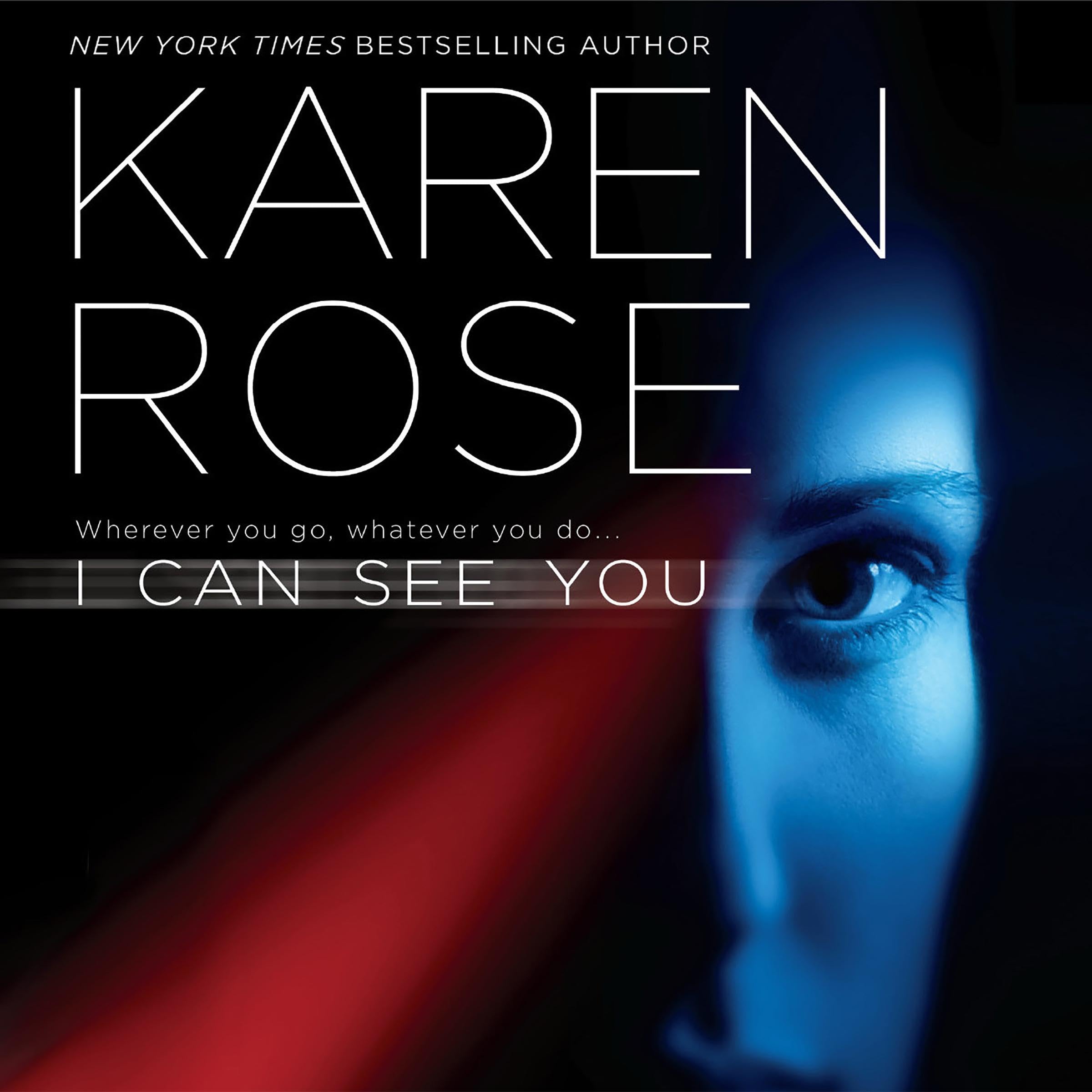 Cover art for I Can See You