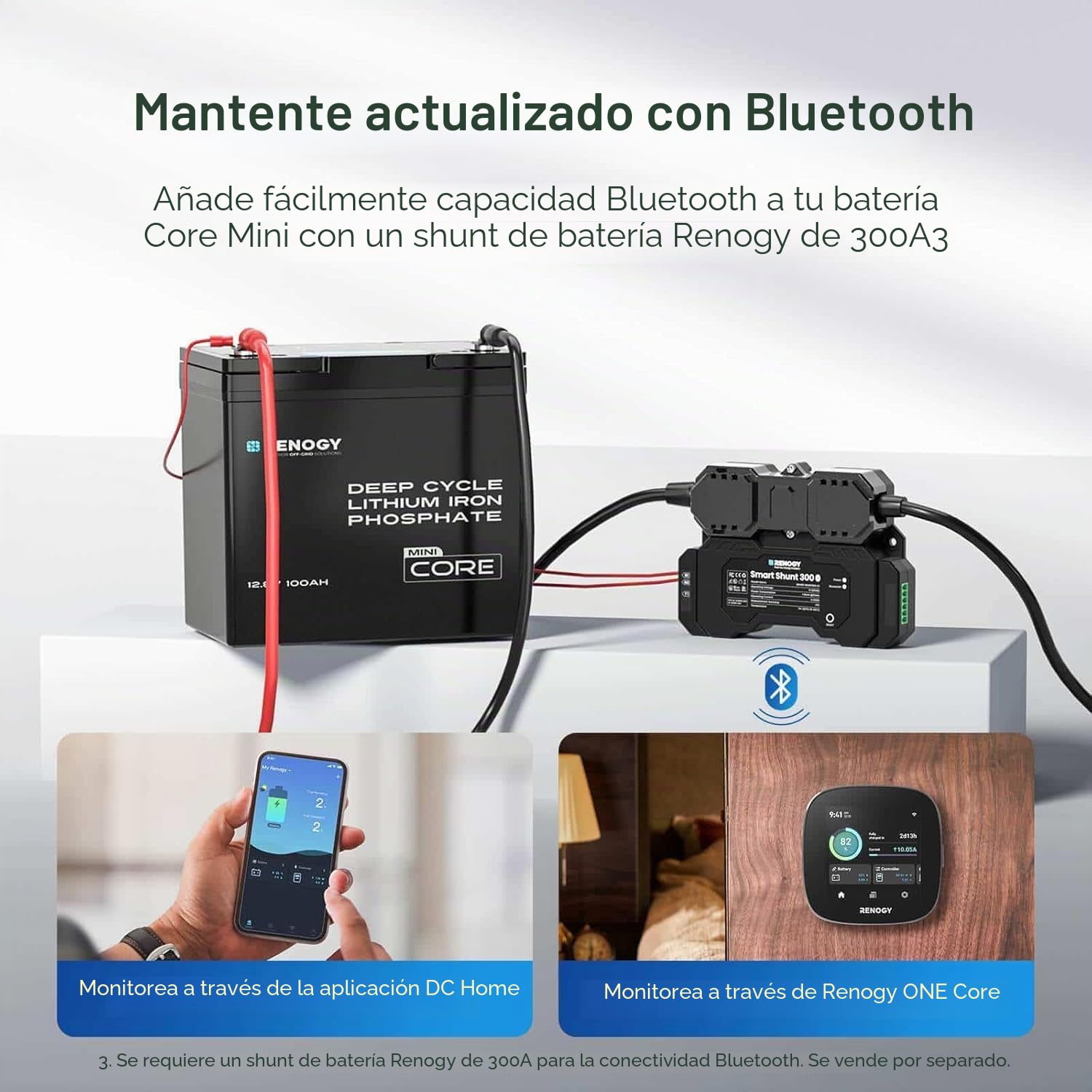 Renogy - Batería de fosfato de litio LiFePO4 Core Mini, 12 V, 100 Ah, BMS mejorado de 100 A, 5000 ciclos, función de protección contra el frío, batería de litio para autocaravanas, sistema solar