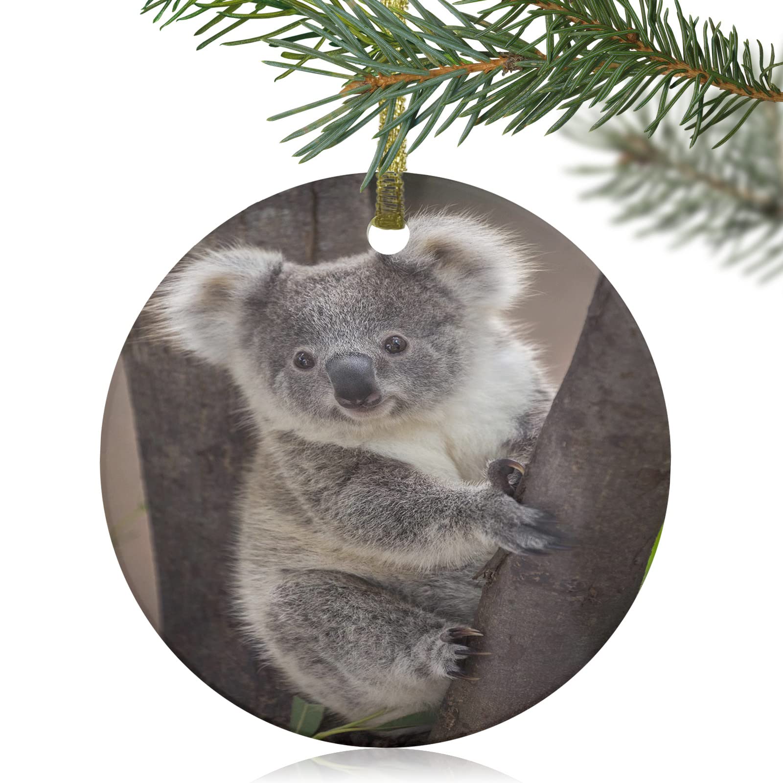 Comforance Koala Bear Christmas Ornament 3'' Round Disc Ceramic for Tree Decoration, Xmas Gift Box Holiday Tags Pendants Wedding Decor, Australian Wildlife Animal, 1PCS-Diameter 3inch (7.5cm)