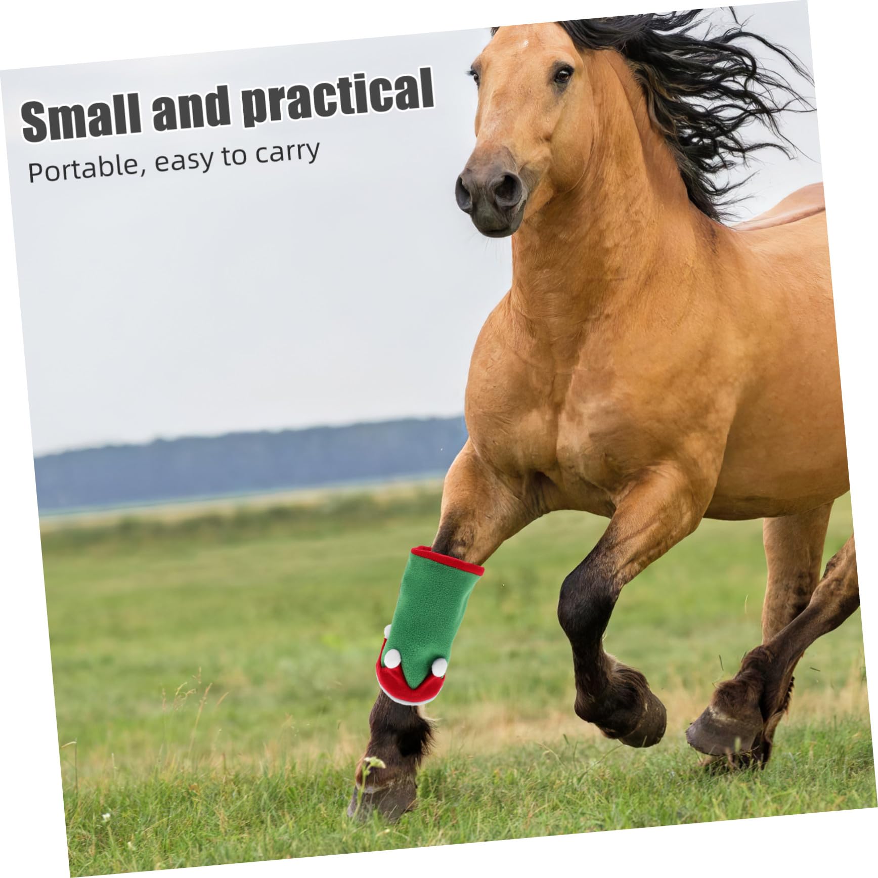 Fasce per Gambe del Cavallo e Cappello da Elfo Natalizio Accessori per Costumi da Cavallo Decorazioni per Feste di Natale