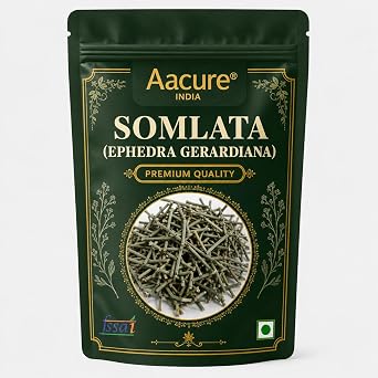 Aacure Somlata Powder 3.5oz Premium Dried Somlata Herb Powder | Natural Botanical Ingredient