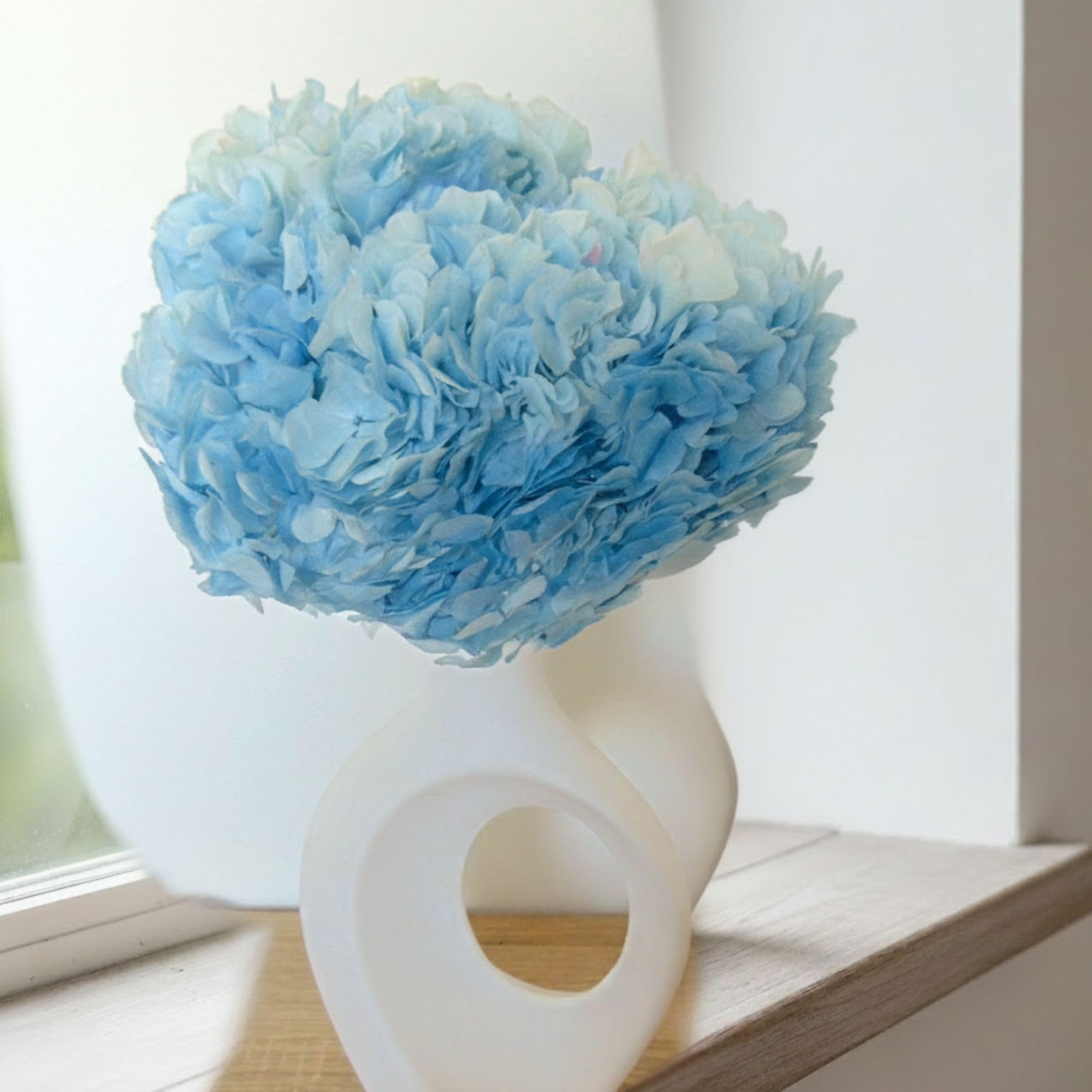 Hortensia stabilisé bleu ciel, le cadeau de mariage éternel idéal