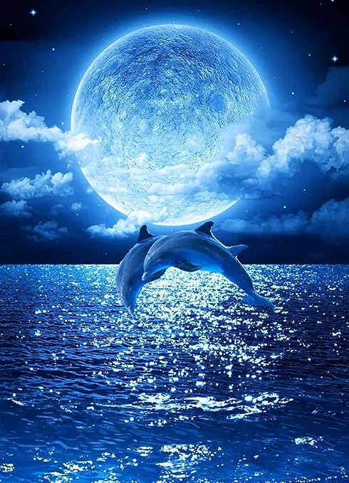 Amazon ダイヤモンドアートdiy5dダイヤモンド絵画キット手作りアート壁の装飾完全にステッカーダイヤモンドパズル 月の下のイルカ 30x40 Cm 刺しゅうキット 通販 Amazon ダイヤモンドアートdiy5dダイヤモンド絵画キット手作りアート壁の装飾完全にステッカーダイヤモンドパズル 月の下のイルカ 30x40 Cm 刺しゅうキット 通販