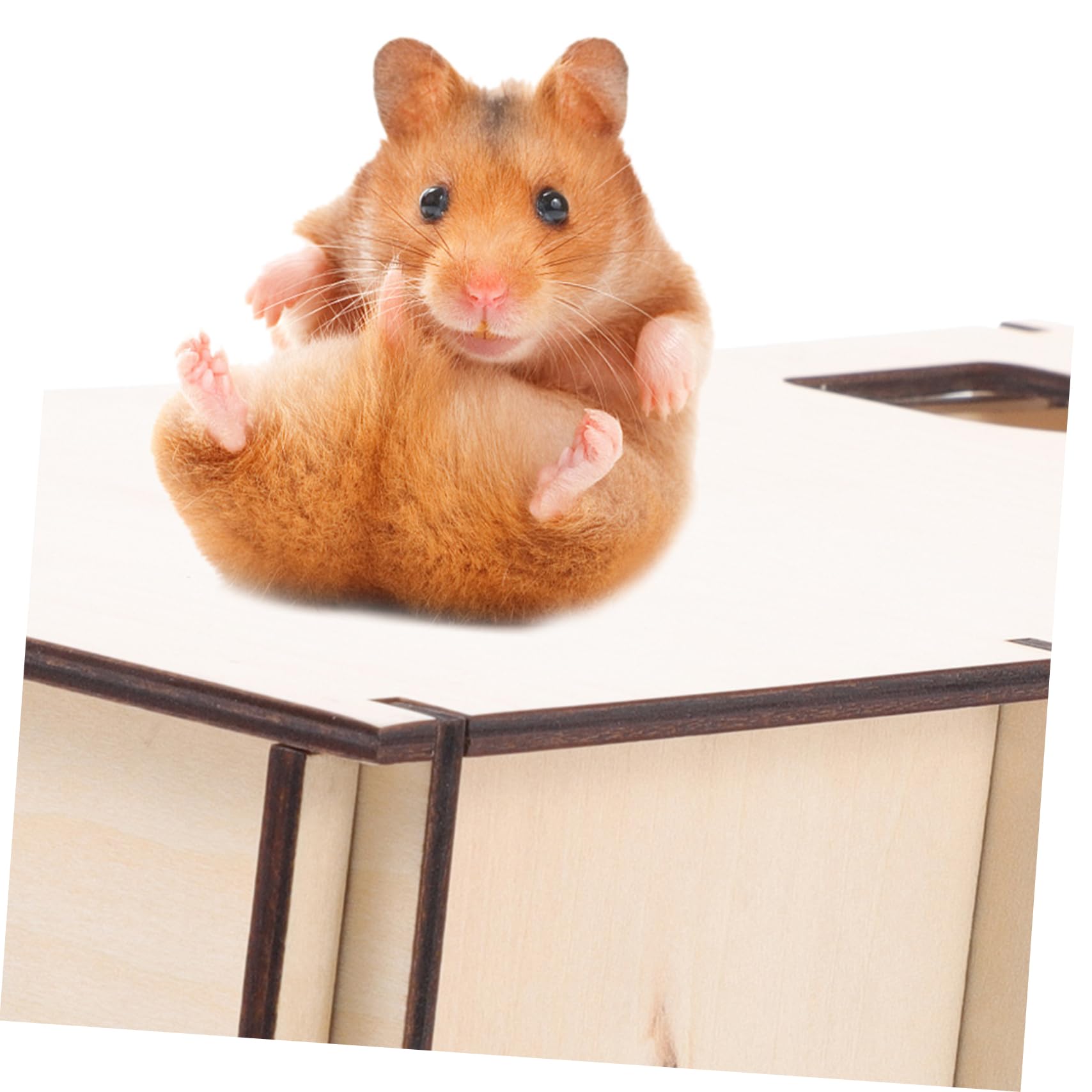 ifundom Haustier Schlafnest für Hamster, 30x15x10, Mehrkammerig