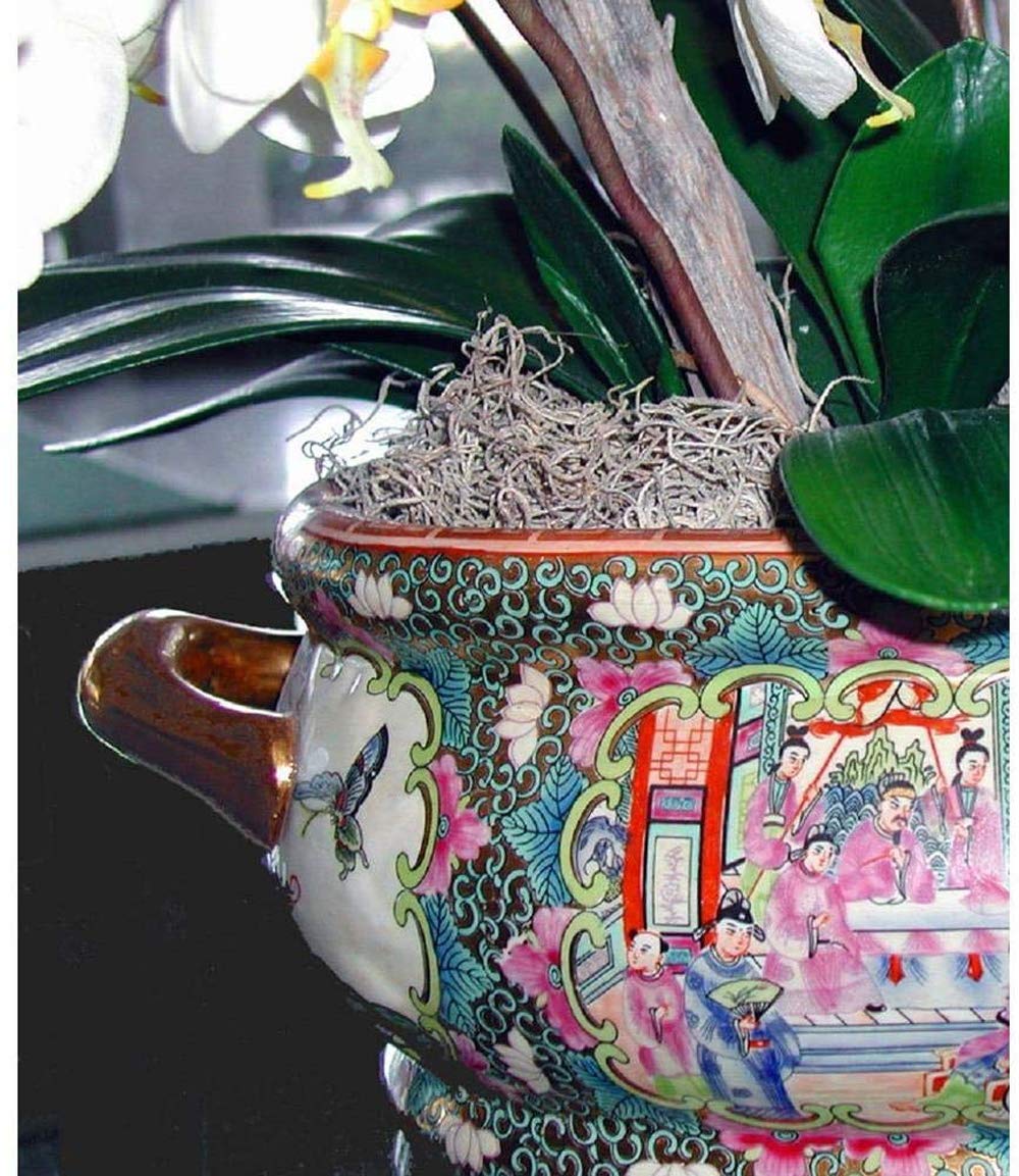 Mosser Lee ML0560 Spanish Moss, 250 Cubic Inches