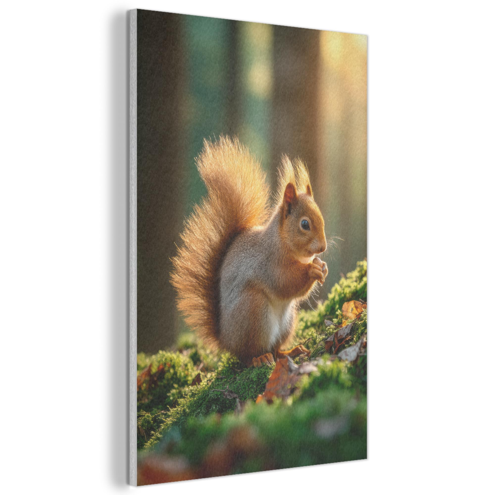 MuchoWow© Felt Panel 60x90 cm Framed Design Print Accent Interior Wallart Decoration Wall Art Squirrel - Nut - Grass