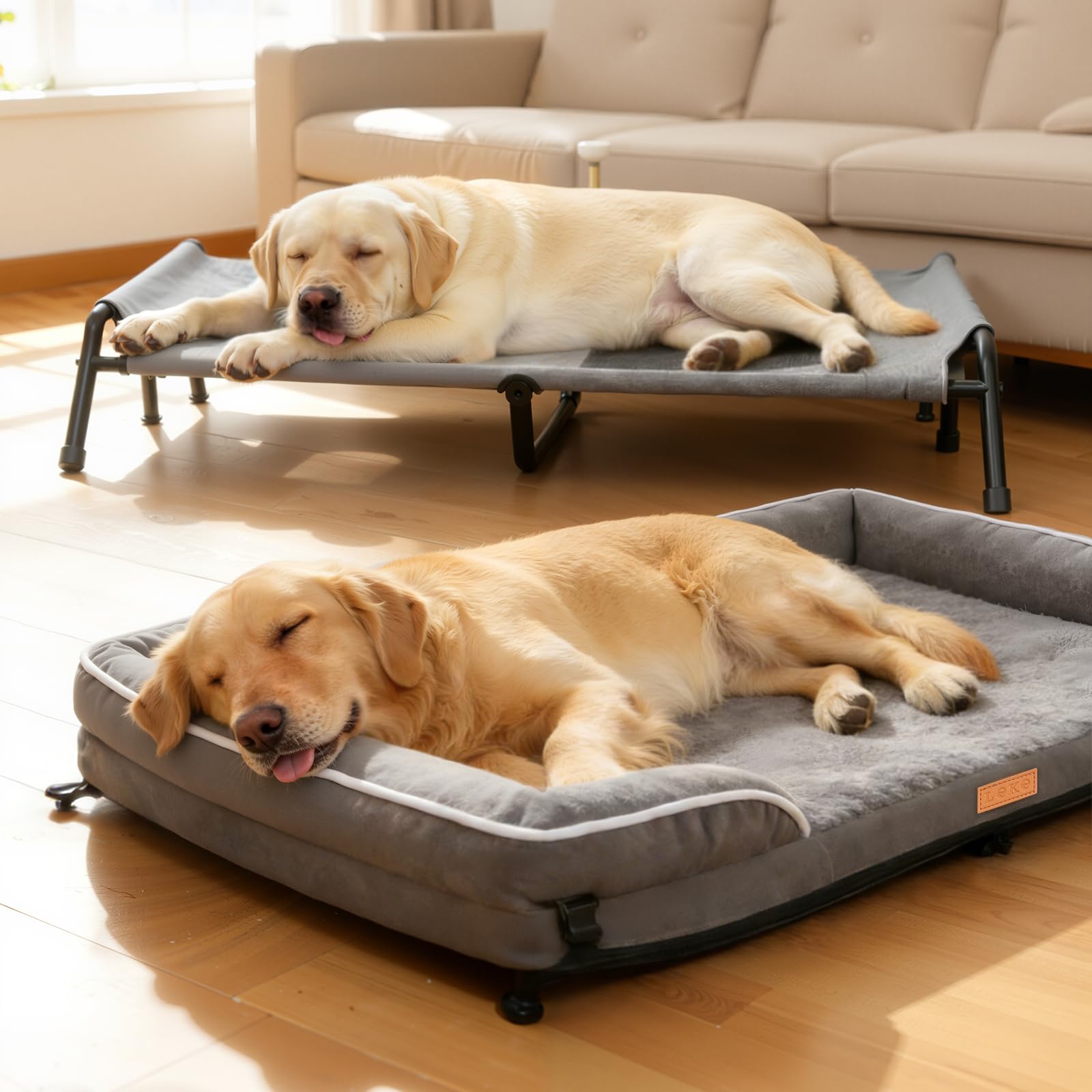 Lekereise Elevated Dog Bed with Foam