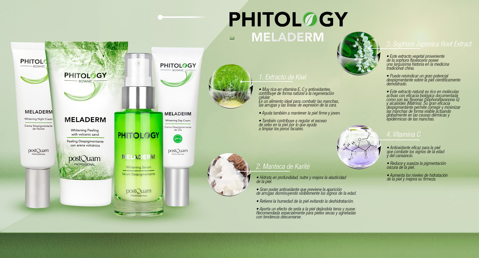 Postquam - Phitology | Anti Flecken Gesichtspflege Set - Tages Feuchtigkeitsgesichtscreme + Depigmentierende Nachtcreme + Anti Falten Serum + Peeling