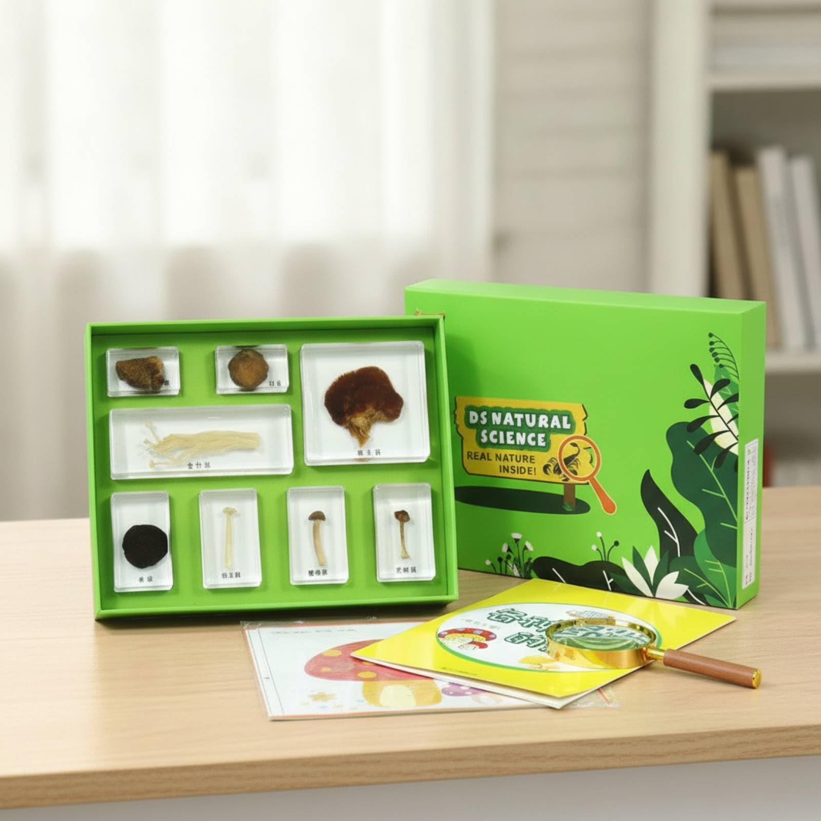 harayaa Kit de Ciencias para Niños Juego de Bloques de Resina Caja Clasificadora Tarjetas Educativas Diseño Que Facilita Observación Segura Adecuado para Aula, Array, Viaje De Semillas