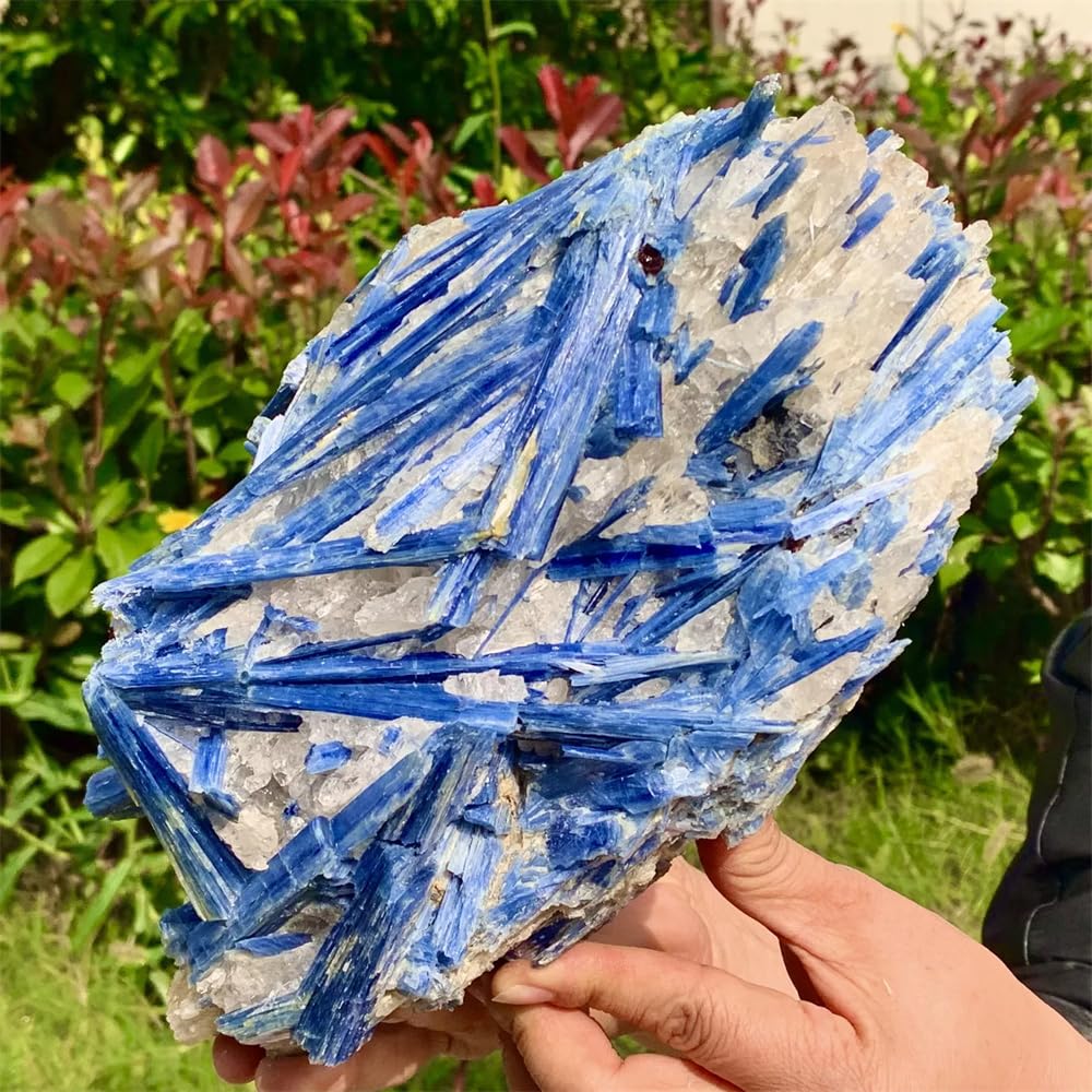 310-400 g Cluster di Gemme Decorazione for Acquario Smagnetizzazione