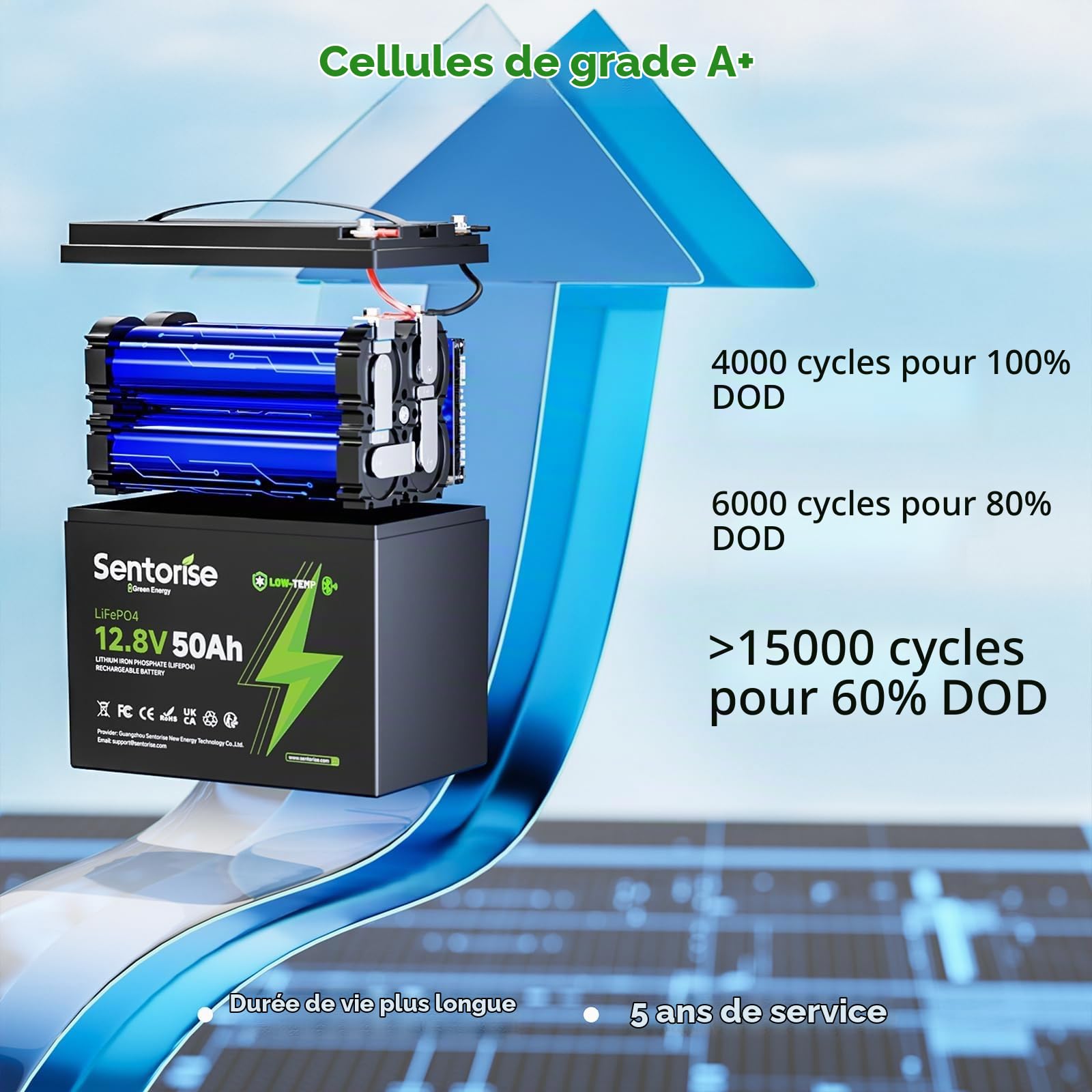 Batterie LiFePO4 12.8V 50Ah 640Wh Batterie à décharge profonde avec BMS 50A, protection basse température Remplacement léger pour camping‑car, marine, bateau, solaire, camping