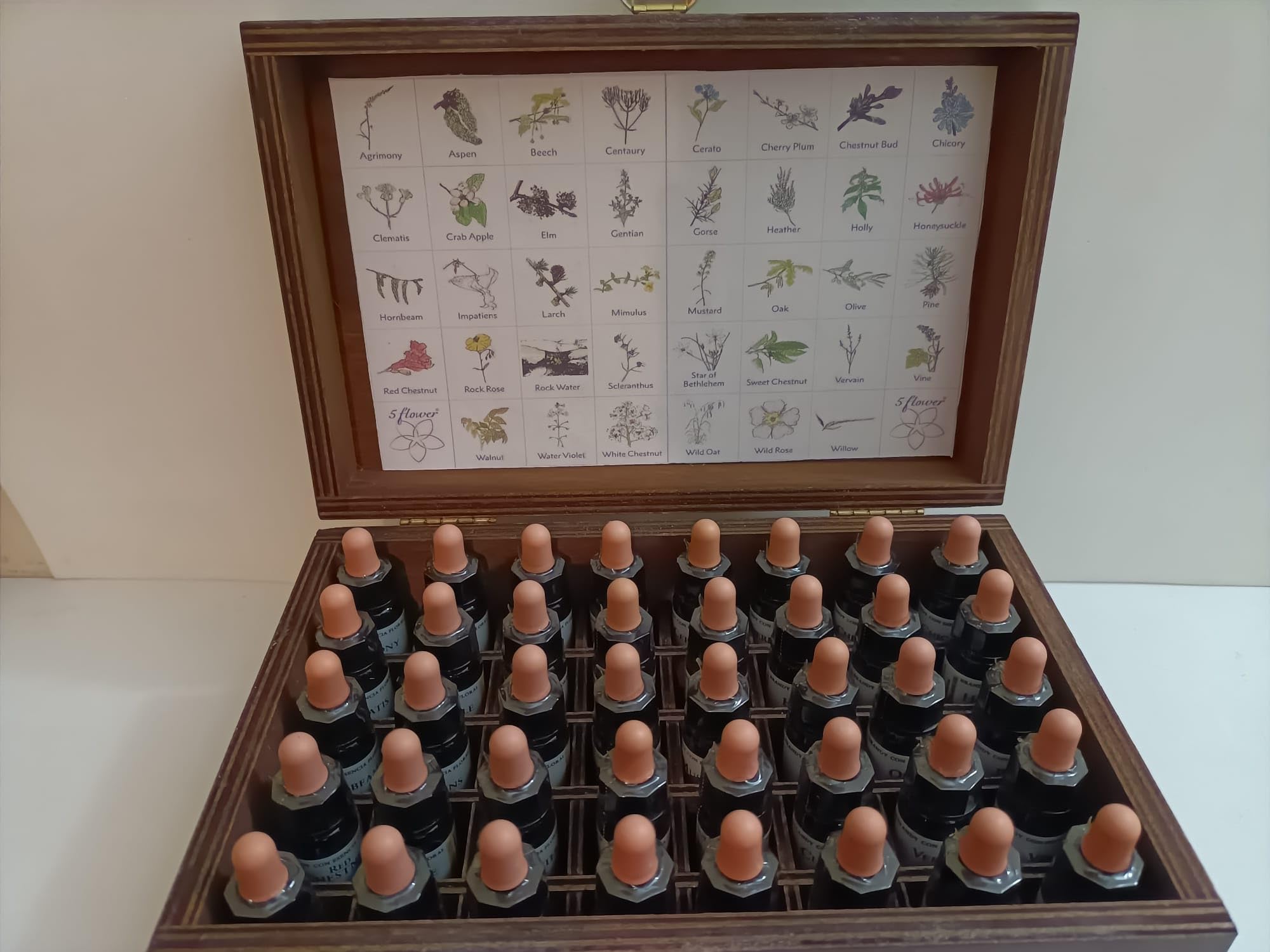KIT DE FLORES DE BACH de 10ml, 38 Flores + 2 Rescate en CAJA MADERA- HealingHerbs.