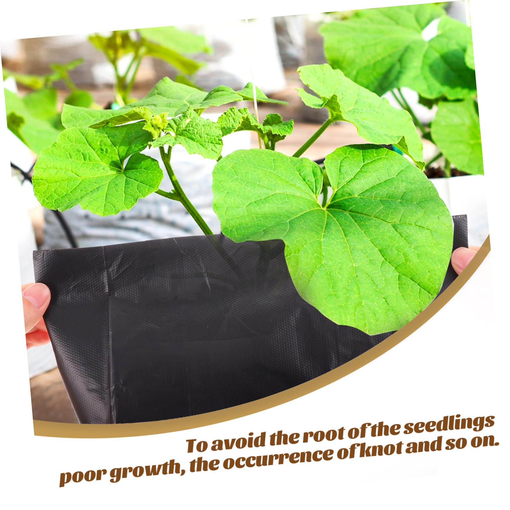 Toddmomy 100 Pièces Pochettes de Culture pour Plantes Extérieures et Arbres Fruitiers Sacs de Culture pour Fleurs, Légumes et Autres