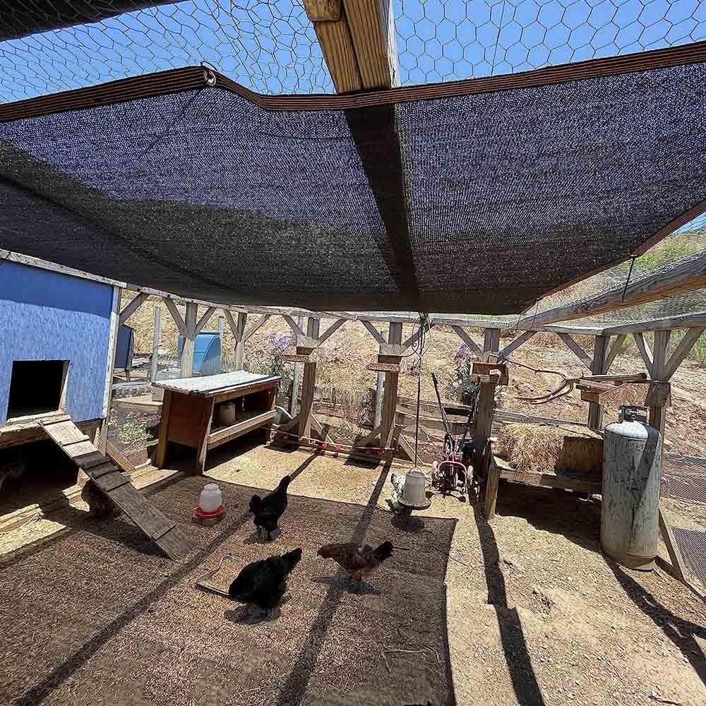 Tela de malla negra 90 % resistente a los rayos UV para jardín, estanques, invernaderos, patios y cocheras al aire libre, 3 x 9 m, con ojales, ideal para protección de plantas