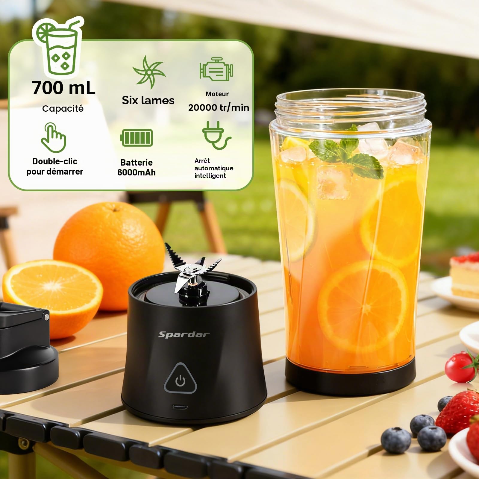 Smoothie Maker to go Blender Portable 700 ml 6000 mAh Fonction Autonettoyante Avec 6 Lames Tranchantes et Brosse de Nettoyage Convient pour la Préparation de jus et de Milkshake Noir