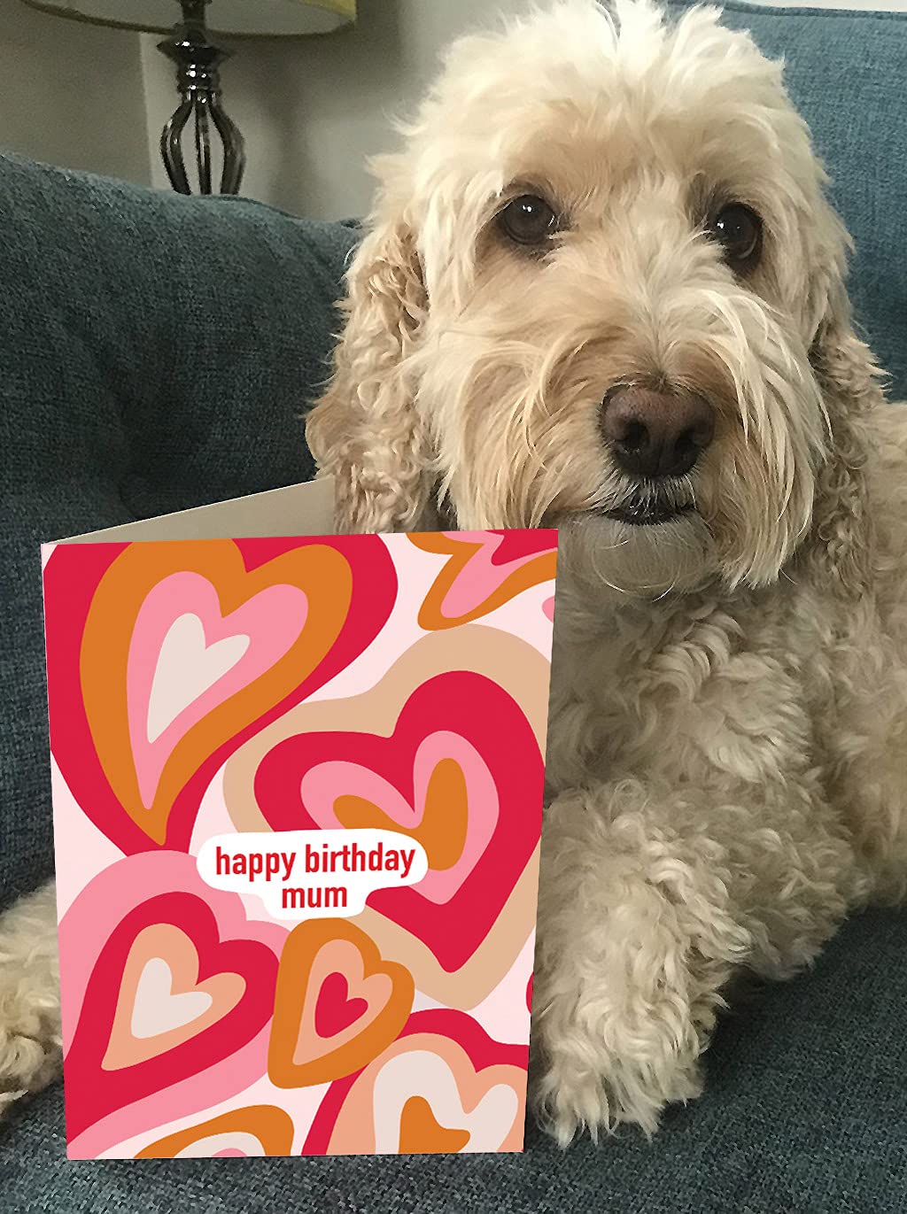 Brainbox Candy - Jolie Carte D'anniversaire Pour Maman – Joli