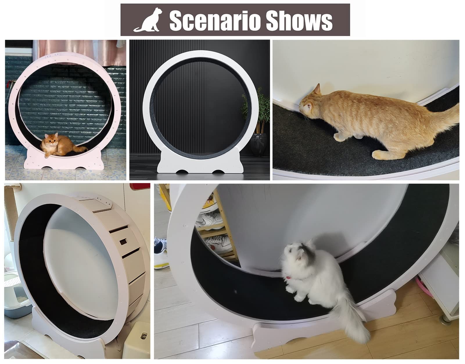 Ruota per esercizi per gatti, per uso interno, tapis roulant silenzioso per gatti piccoli e grandi, giocattoli per animali domestici, 4 opzioni di dimensioni disponibili