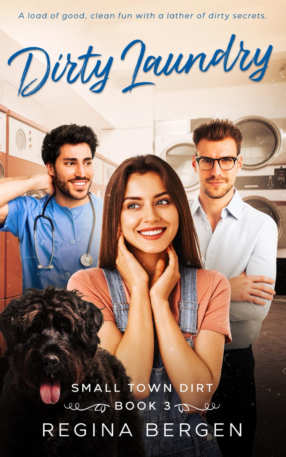 Dirty Laundry: A Laundromat and Dog Wash Romance: 3 (Small Town Dirt)