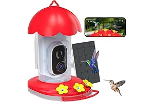 Solar-Powered Hummingbird Feeder with Camera