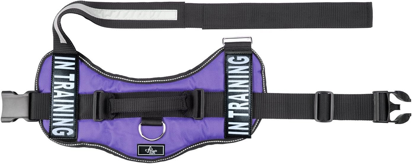 Doggie Stylz in Training Service Dog Harness with Removable Saddle Bag Backpack Pack Carrier Traveling Carrying Bag. 2 Removable in Training Patches. Please Measure Dog Before Ordering. Made