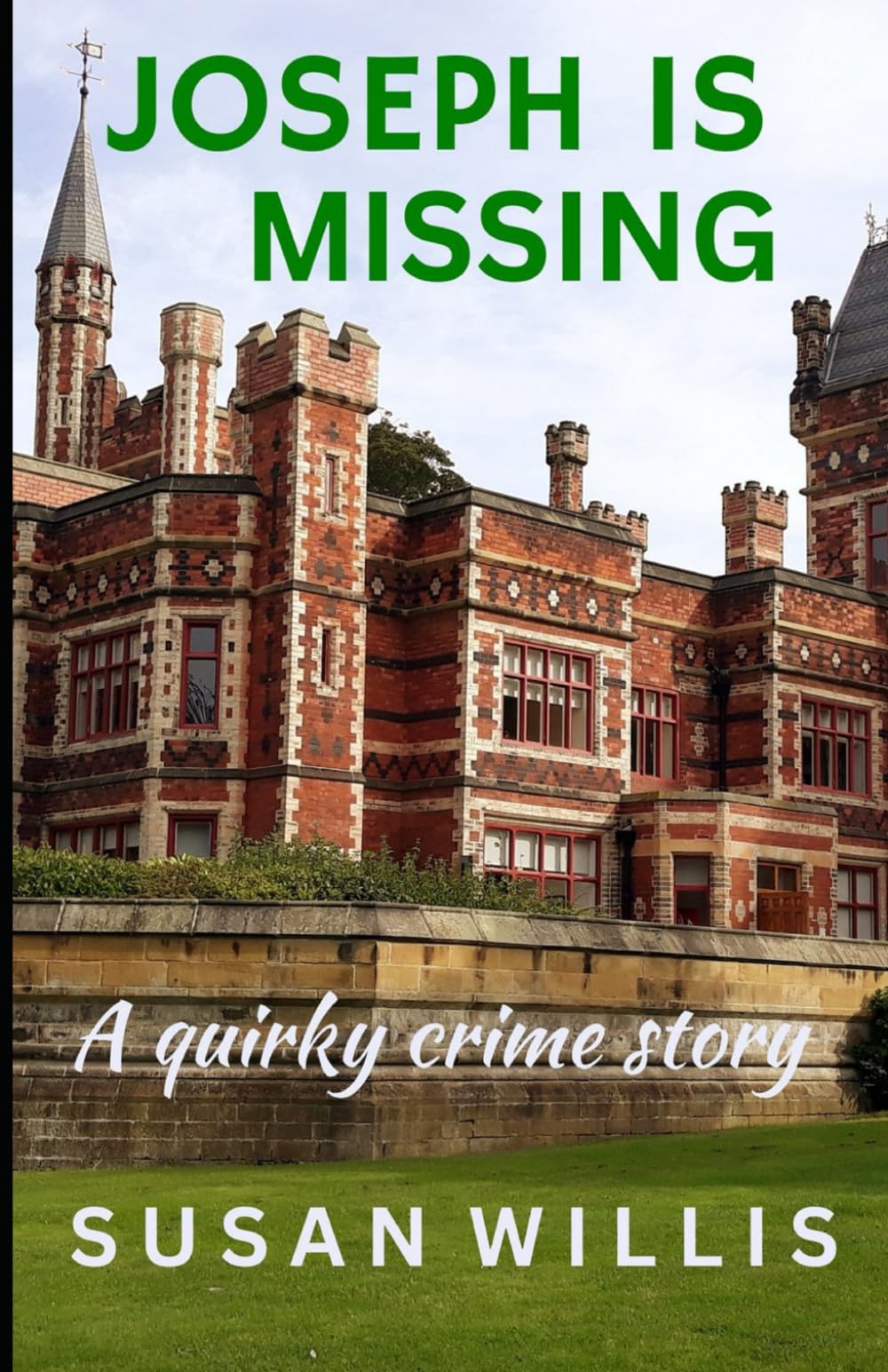 JOSEPH IS MISSING: A quirky crime story
