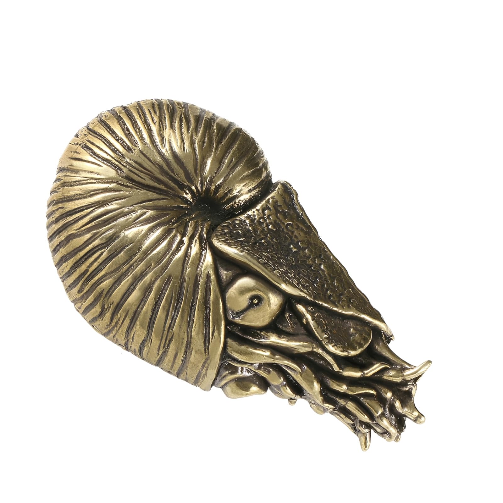 Figurine Naurilus animali in metallo Sculture Decorazioni per scaffali Accenti Centrotavola da tavolo Decorazioni per la casa Ornamento da tavolo