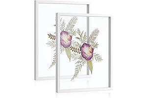 Sonefreiy Picture Frames: Capture Memories in a Flawless White Embrace