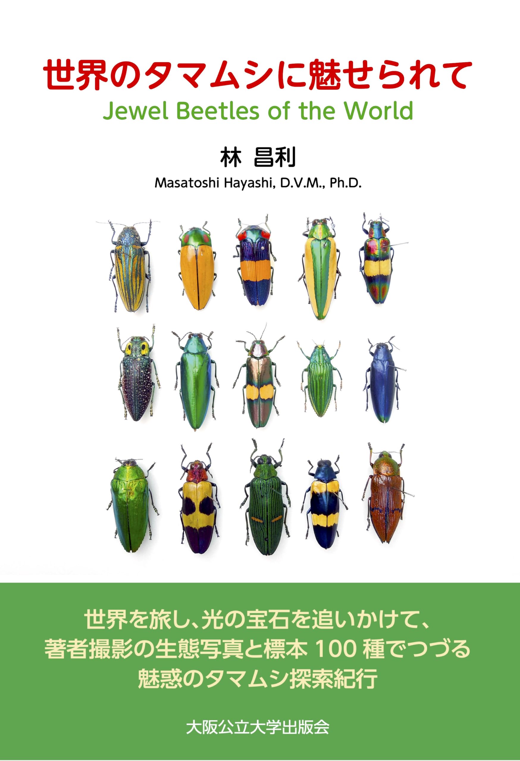 世界のタマムシに魅せられて | 林 昌利 |本 | 通販 | Amazon