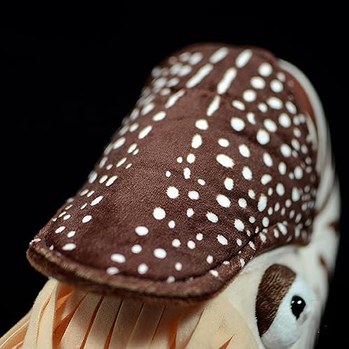 Miniatura 3 de Nautilus - Animal de peluche realista de Nautilus, juguete realista de Nautilus de 8 pulgadas, peluche suave de criaturas marinas modelo Nautilus,