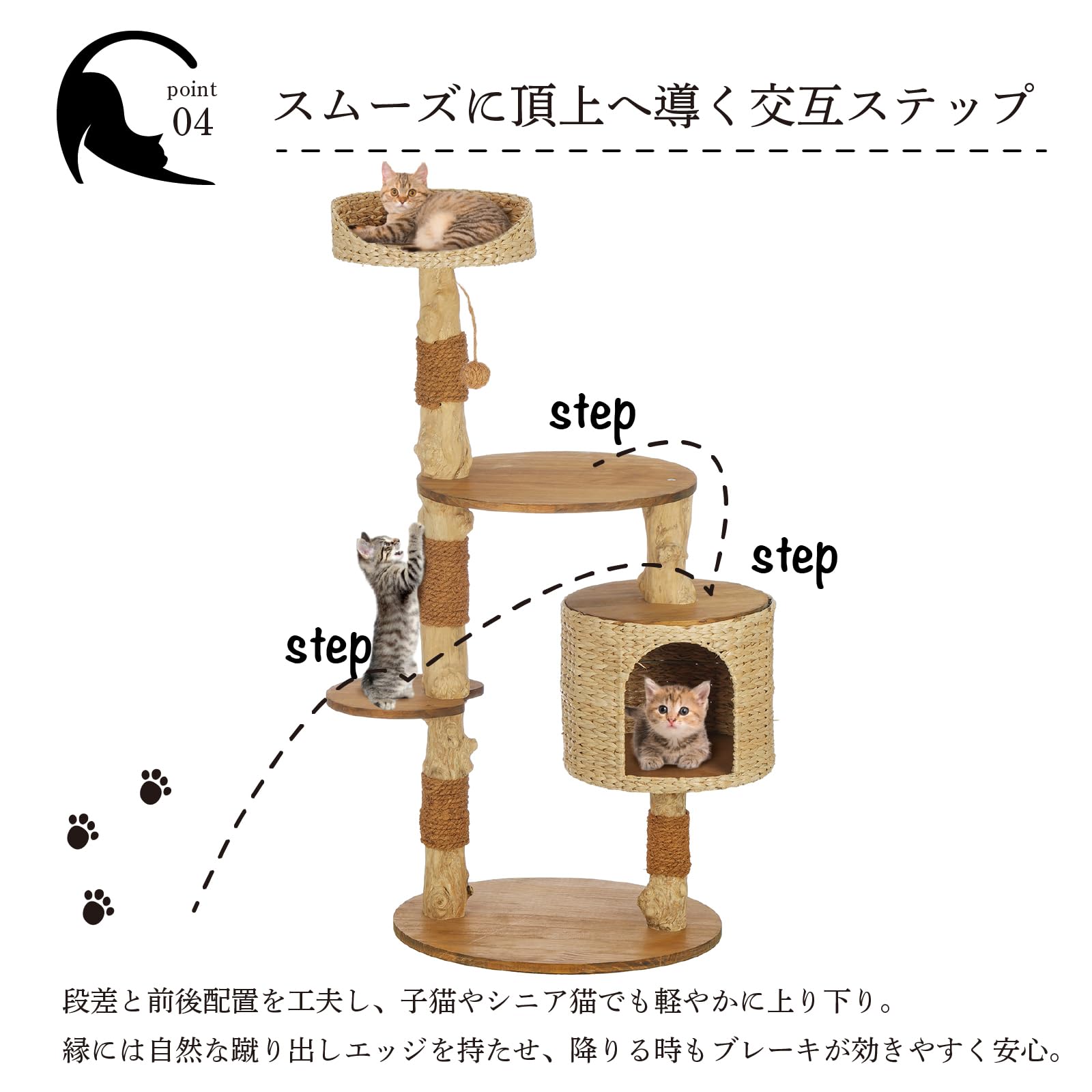 Amazon | ハリーバーカー Harry Barker【天然コーヒー木使用】キャット