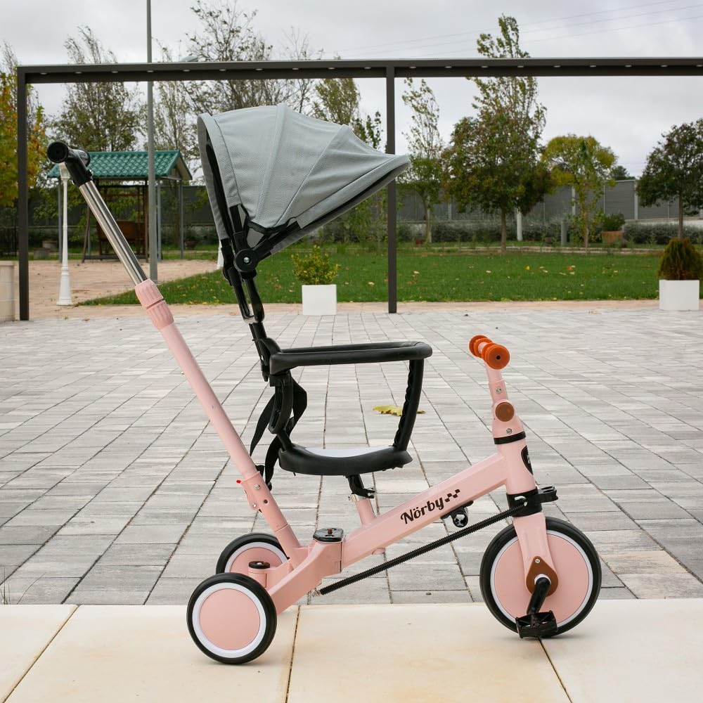Interbaby - Triciclo "Norby" e Bici Evolutiva 5 in 1 con Capottina - 1-5 Anni