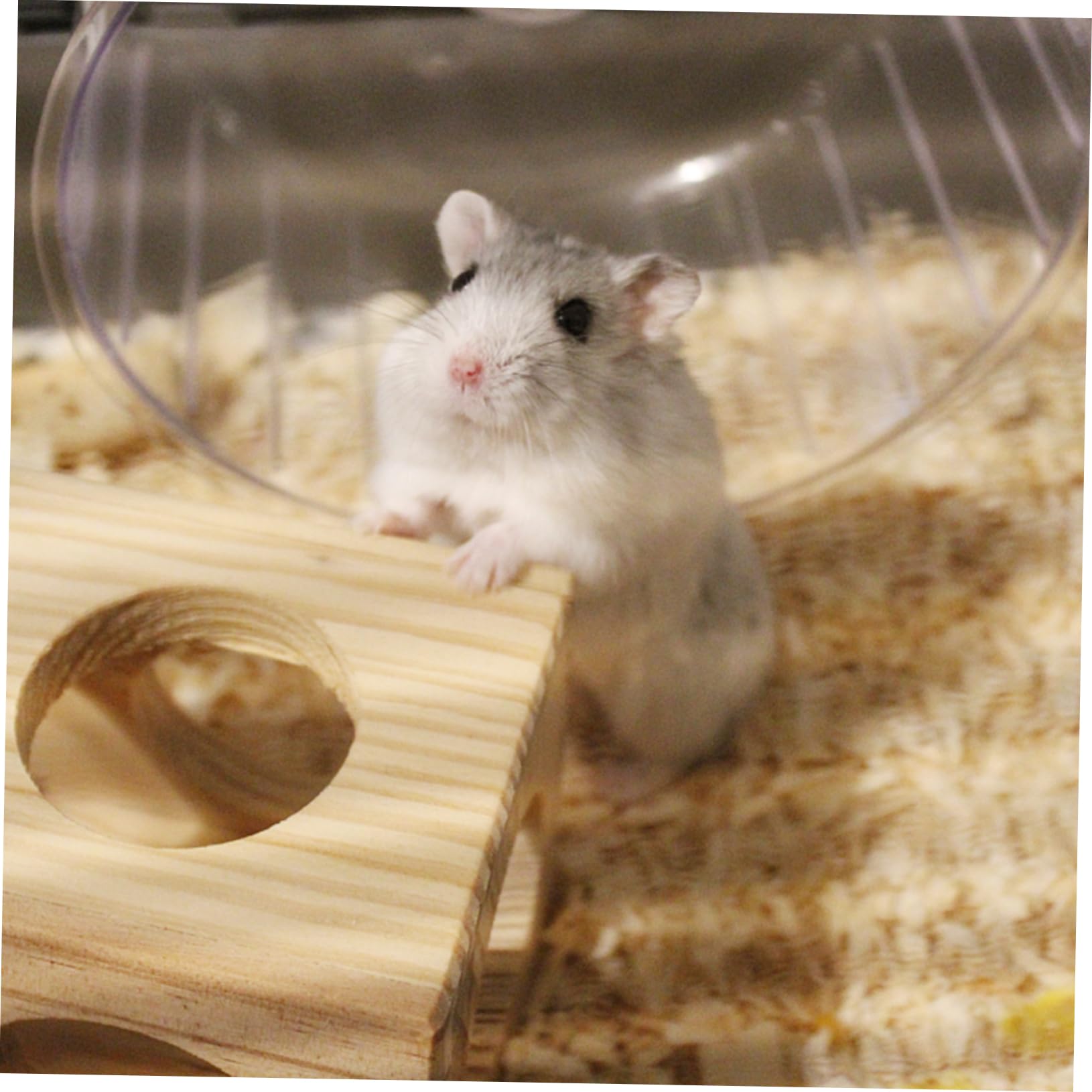 Lettiera per Piccoli Animali in Carta Assorbente a Controllo Polvere Bianca Confezione da 1 Adatta per Gerbilli e Criceti, per Nidi e Tane
