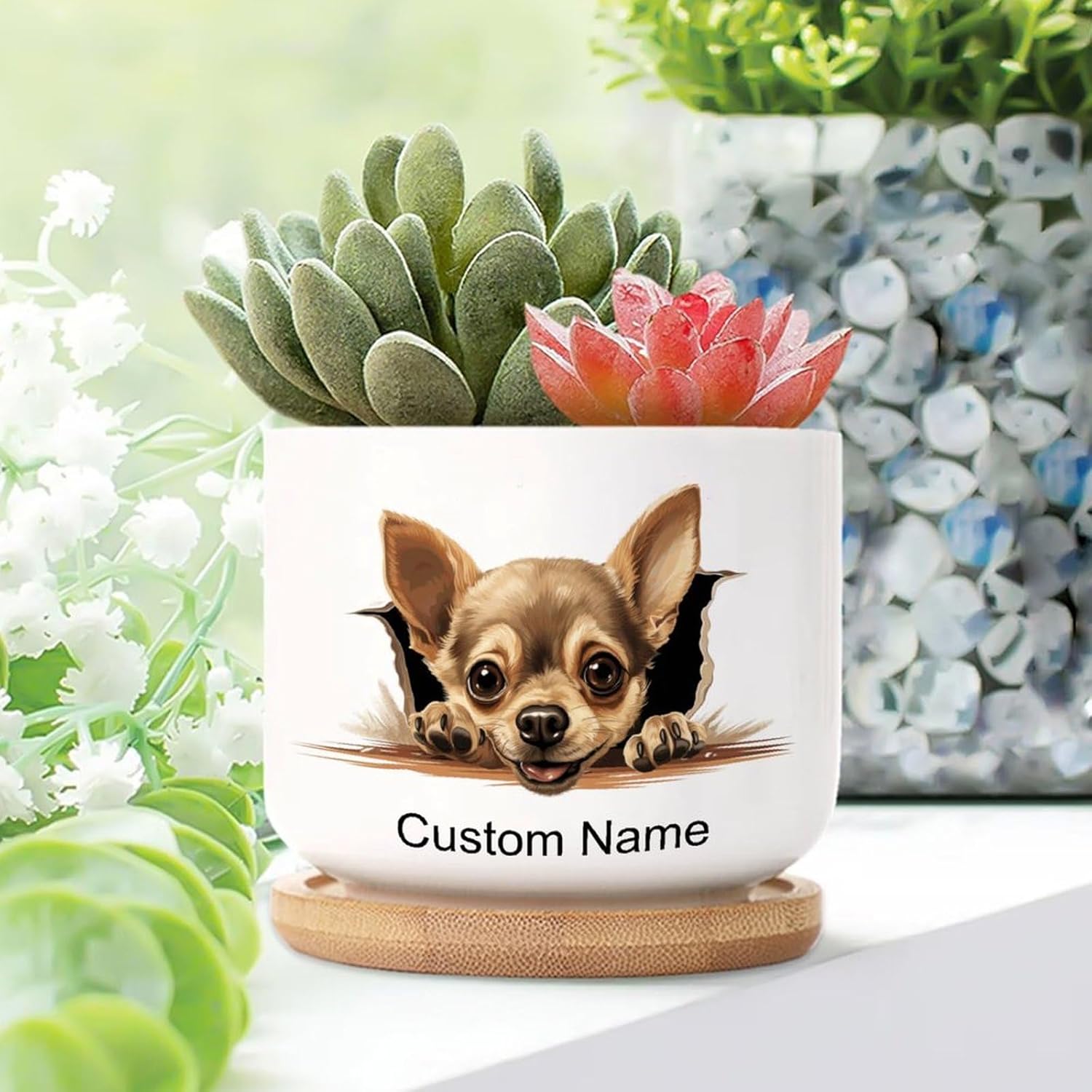 Chihuahua Small Pot for Flowers Set of 3 Chihuahua Peeking Dog in Crack Planters Ceramic with Drainage Bamboo Trays for Dog Owner Custom Name Cactus Planter