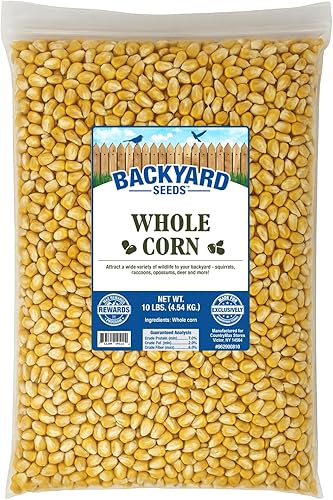 Semillas de patio trasero maíz entero para pájaros, ardillas y ciervos, 10 libras.