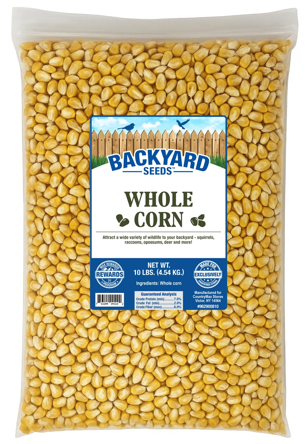 CountryMax Backyard Seeds Whole Corn Kernels 10lbs - High-Energy Animal Feed for Chickens, Squirrels, Deer & Wild Birds, Ground Feeding, High Protein