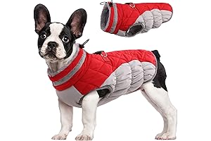 FUAMEY Warm Doggy Royal Furry Jacket Reflective Waterproof