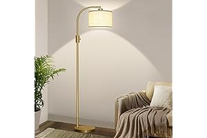 Dimmable Floor Lamp — The Luminous Luminary for Your Home Library Sanctuary