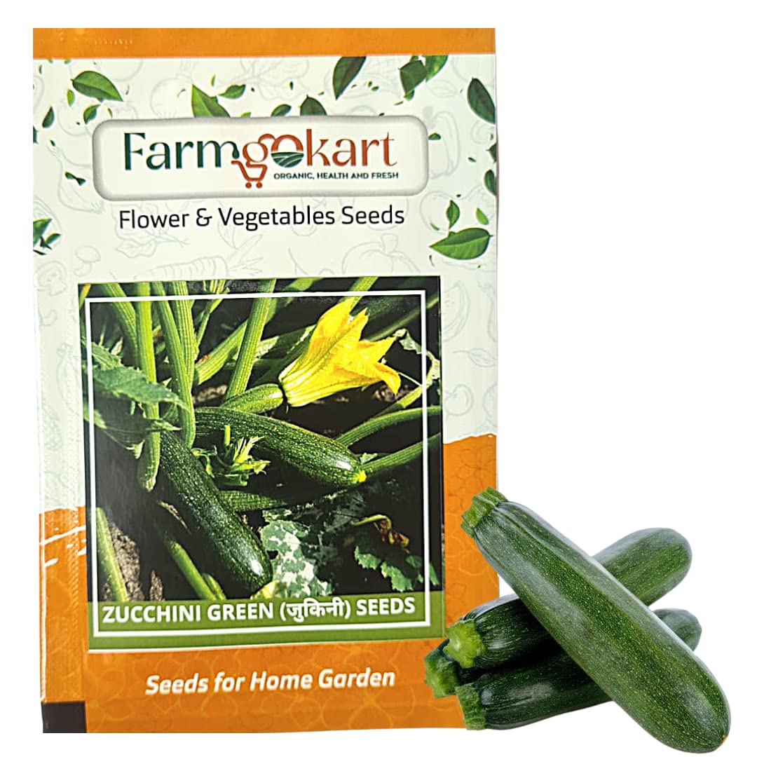 10 Gms of ZUCCHINI -(SUMMER SQUASH) GREEN VEGETABLE SEEDS | Appx 75 Seeds | High Germination Quality Seeds Pouch | for Home Gardening, Farming, Hydroponics and Poly Houses (B0BSQY7R8Z) Amazon Price History, Amazon Price Tracker