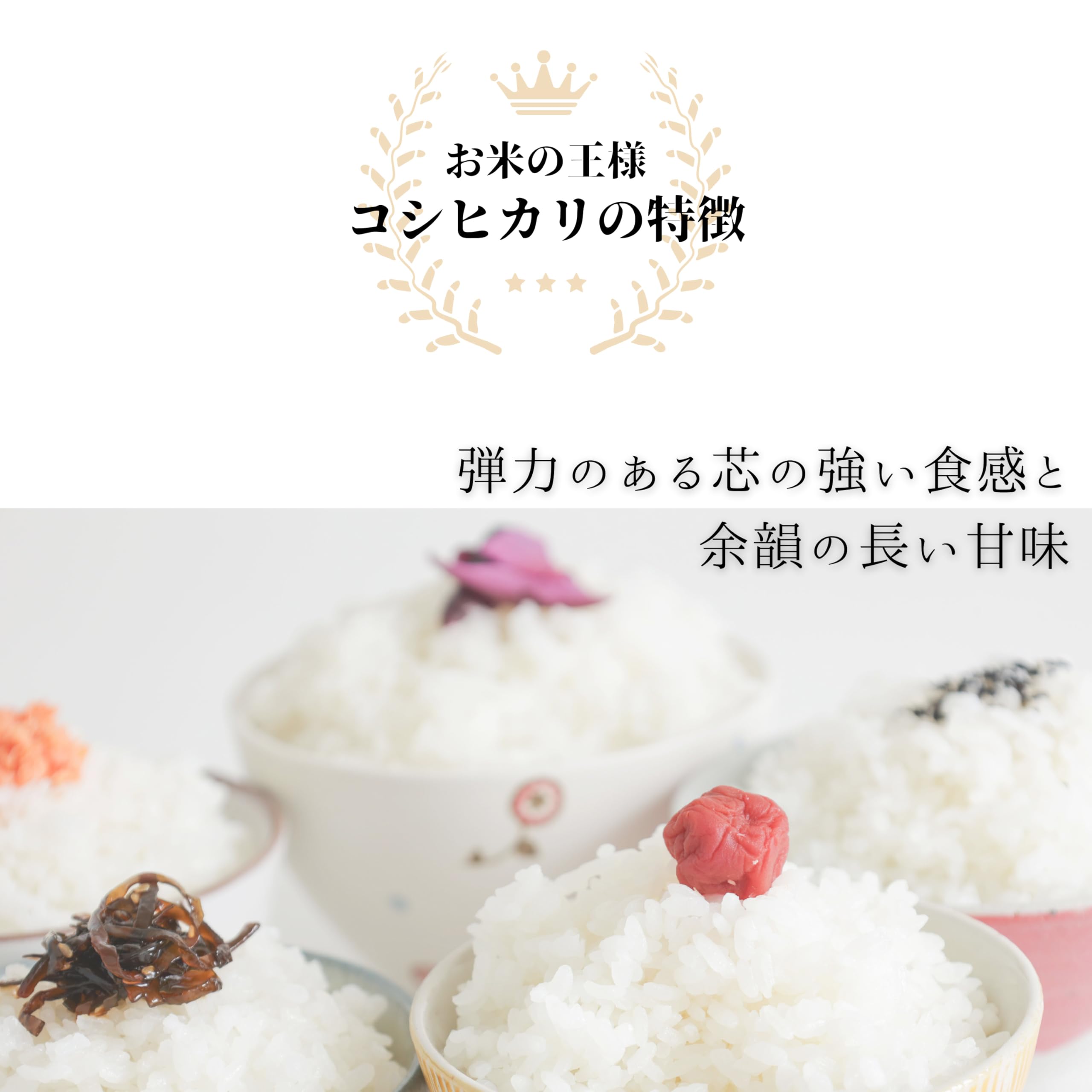 Amazon.co.jp: 令和7年愛媛県産コシヒカリ 玄米 30kg : 食品・飲料・お酒