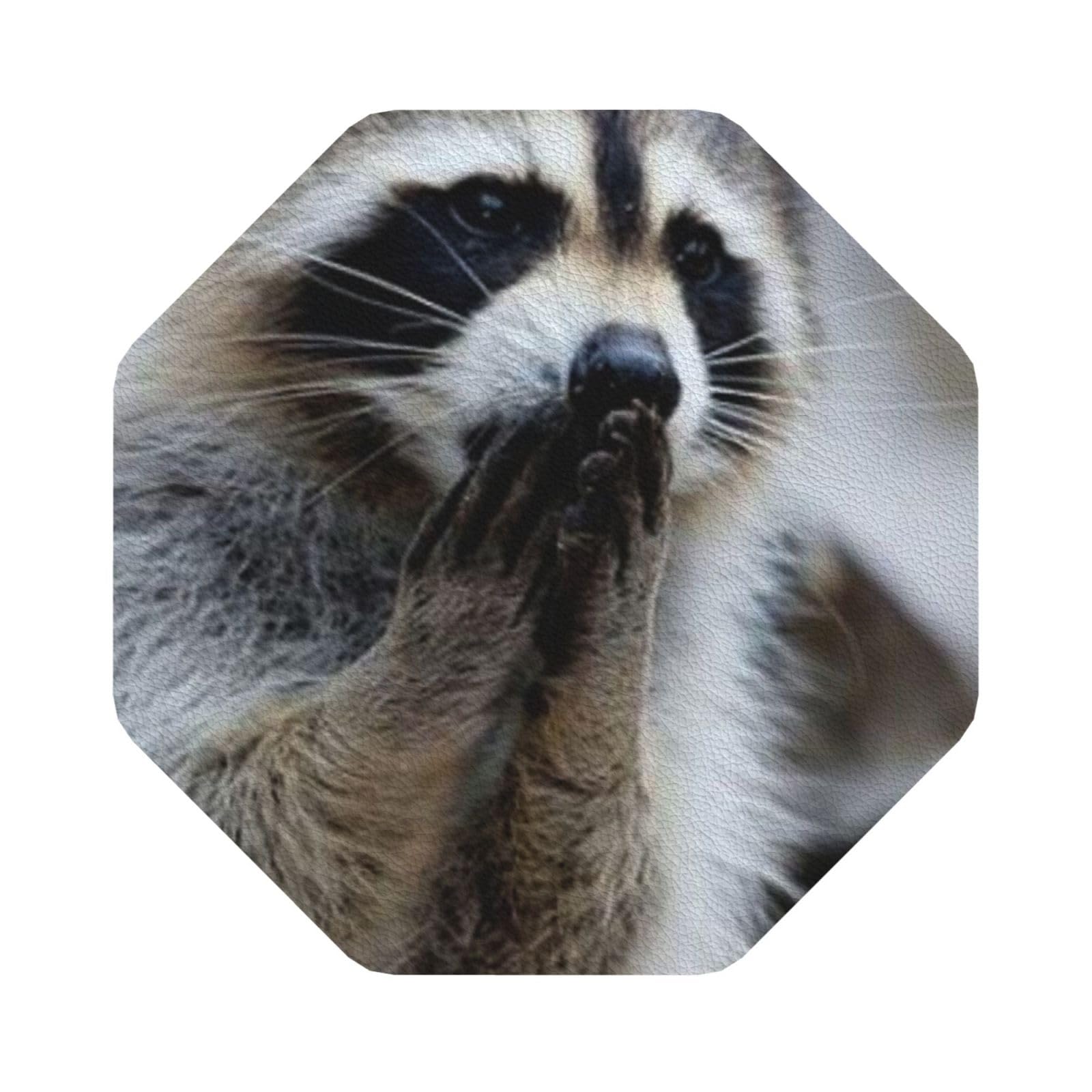 Cute Raccoon PU Leather Coasters Set of 6 Octagon Drink Coasters