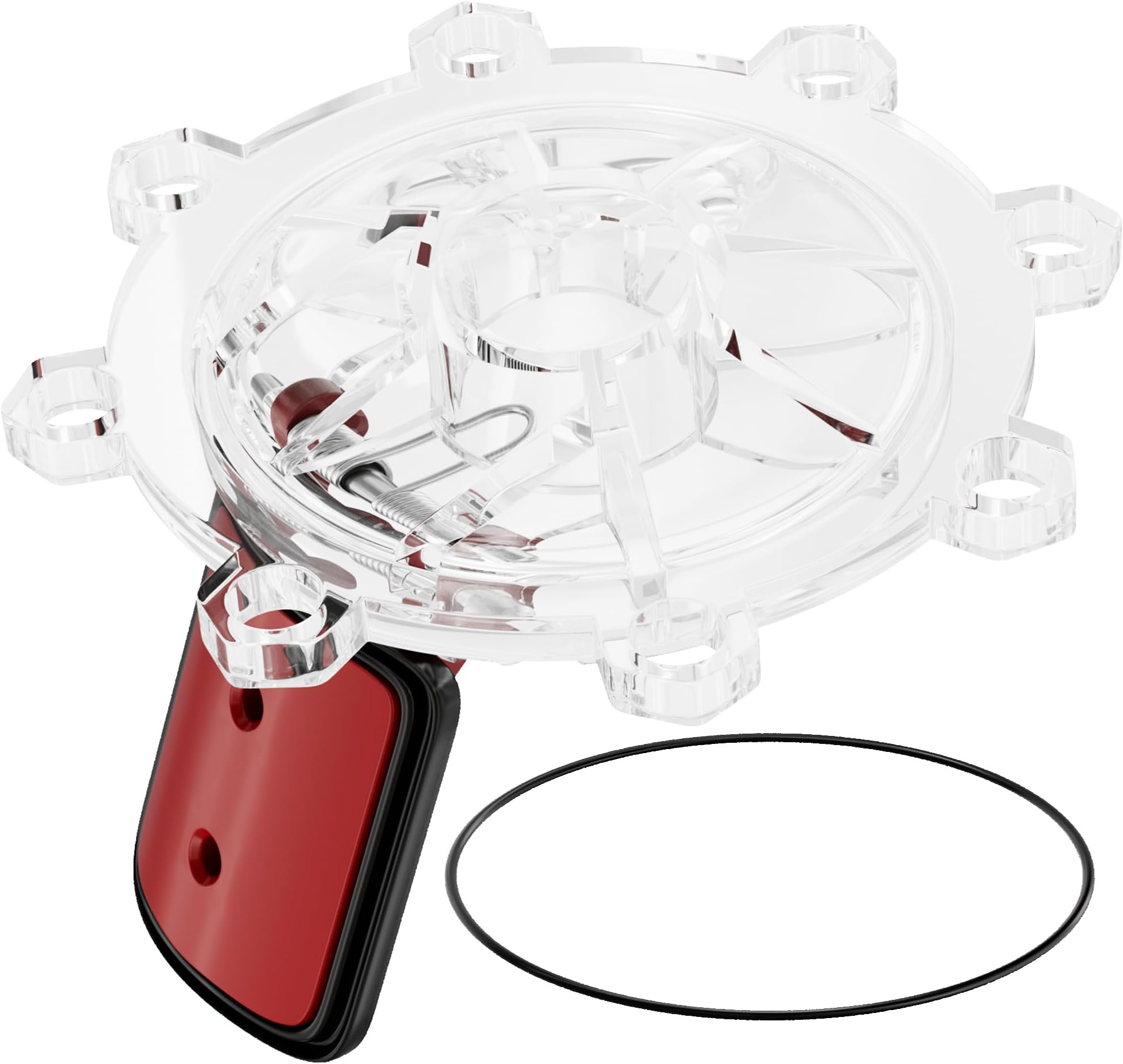 Amazon.com: Gunneran 7056 Check Valve Repair Kit for Jandy Zodic Spring ...